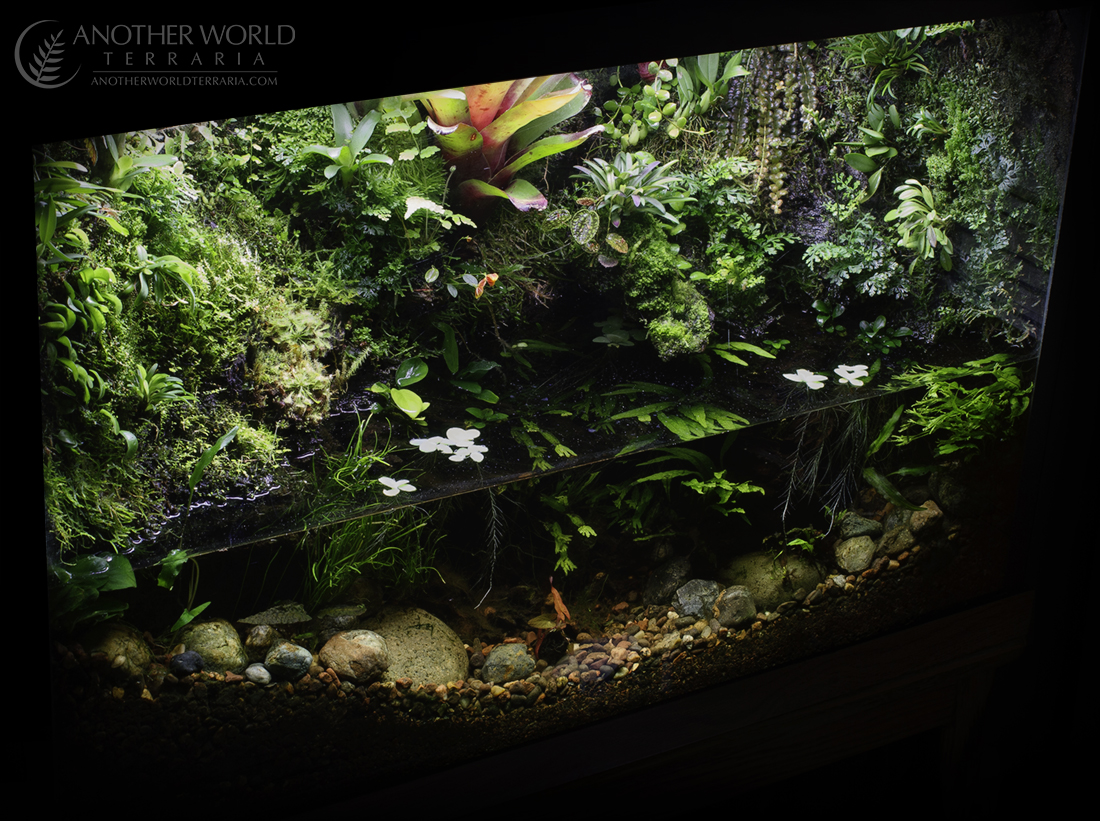 29 Gallon Paludarium, angled photo