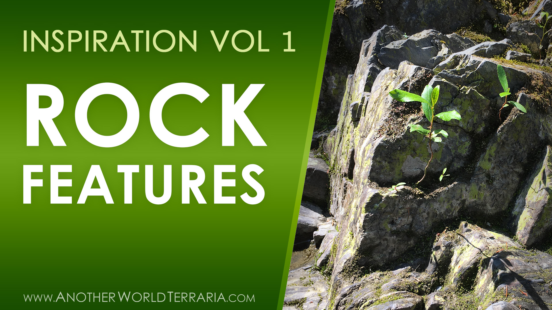 Rock Features Terrarium Inspiration