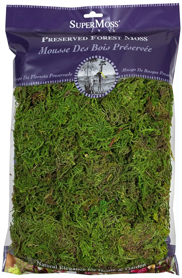 Preserved Craft Moss Preserved Craft Moss