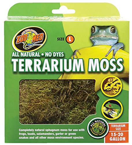 Bad Terrarium Moss