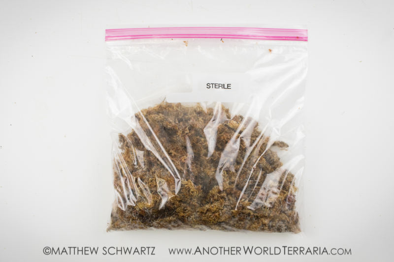 How to sterilize Sphagnum moss so it doesn’t grow back Another World Terraria