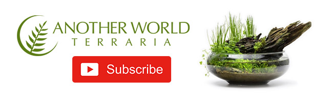 Subscribe to Another World Terraria on YouTube