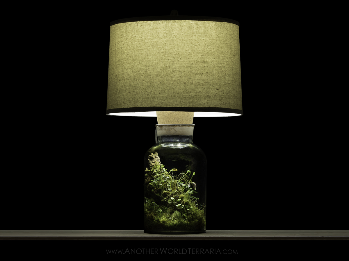 Lamp Terrarium