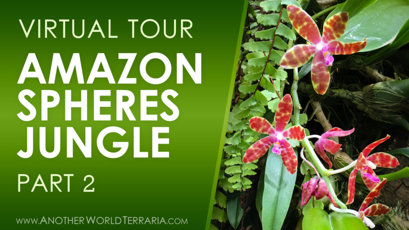 Amazon Spheres Jungle Tour Part 2