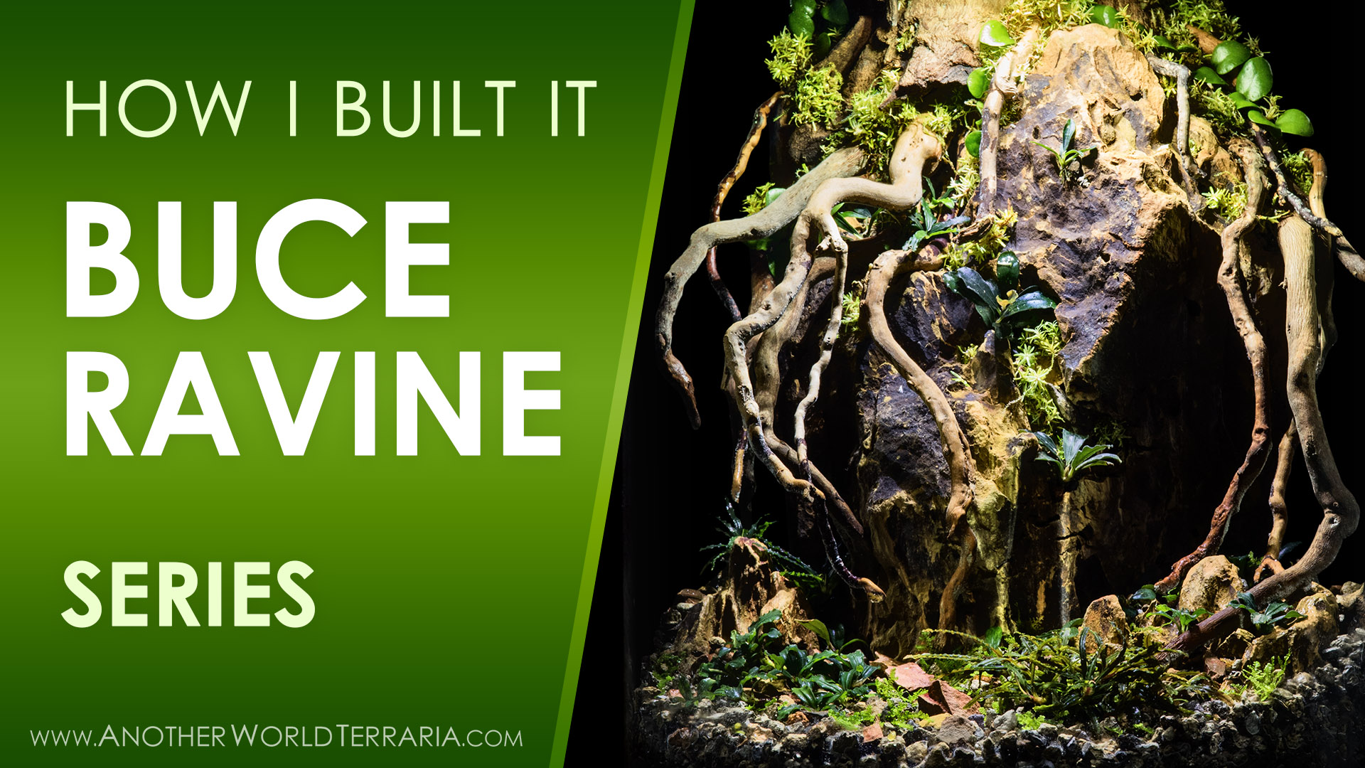 How I Built the Buce Ravine Terrarium Video Series