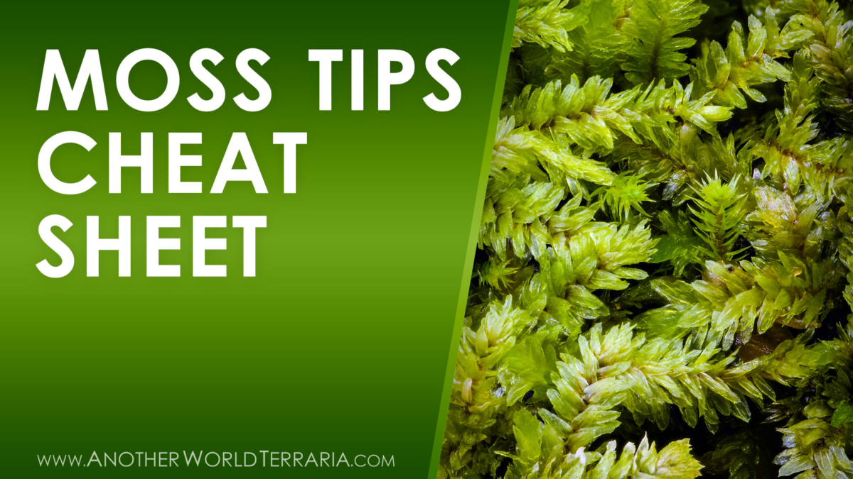 Moss Tips Cheat Sheet Another World Terraria