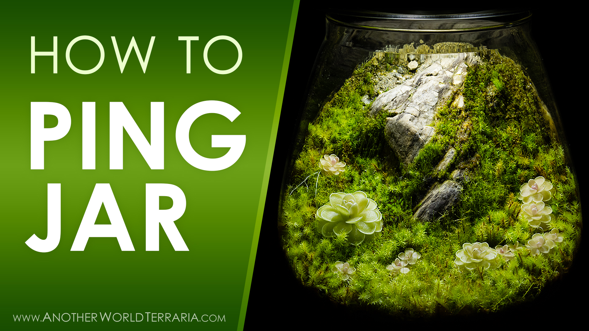 How I Made the Cliffside Ping Jar Terrarium