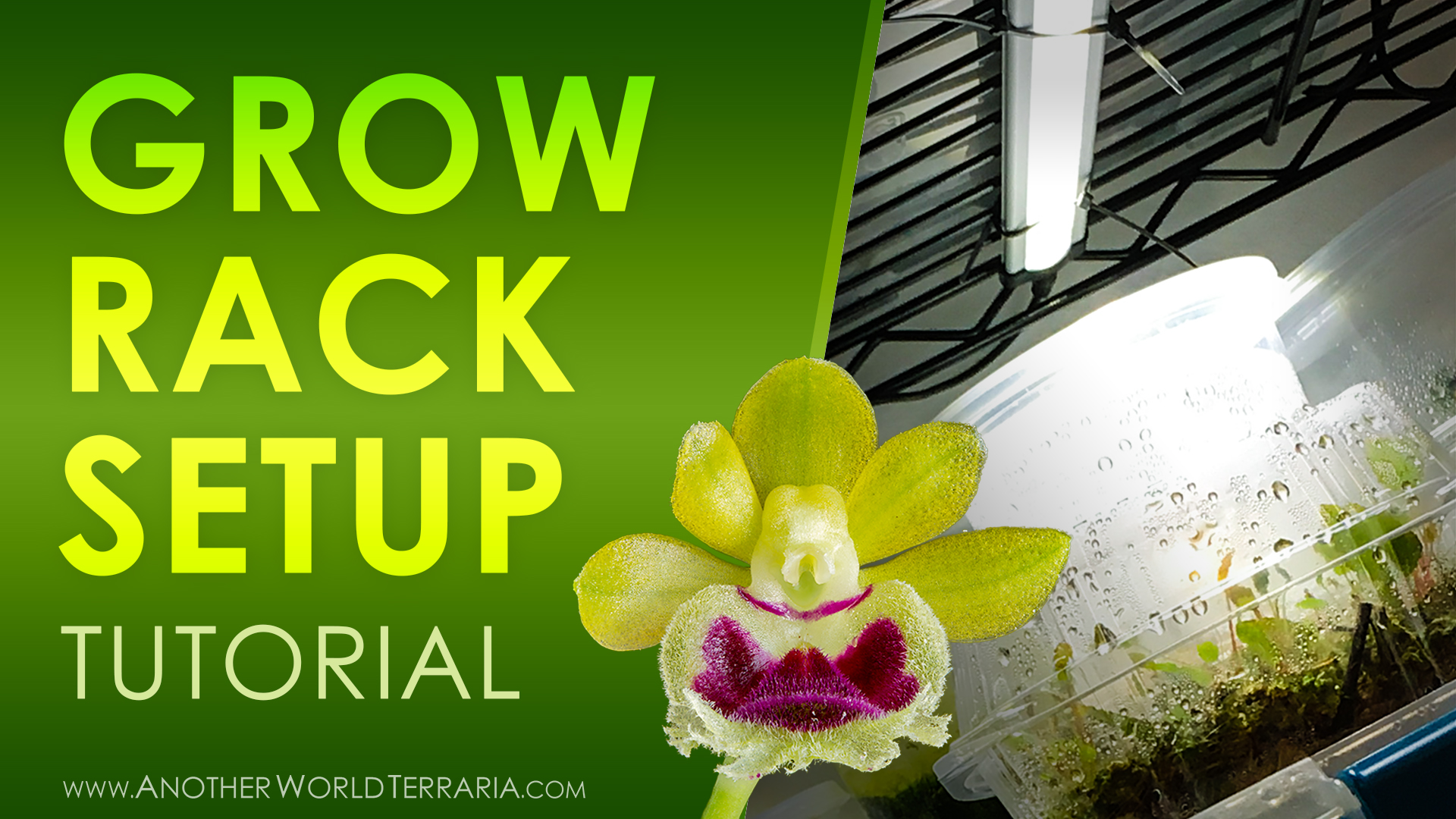 Grow Rack Setup Tutorial