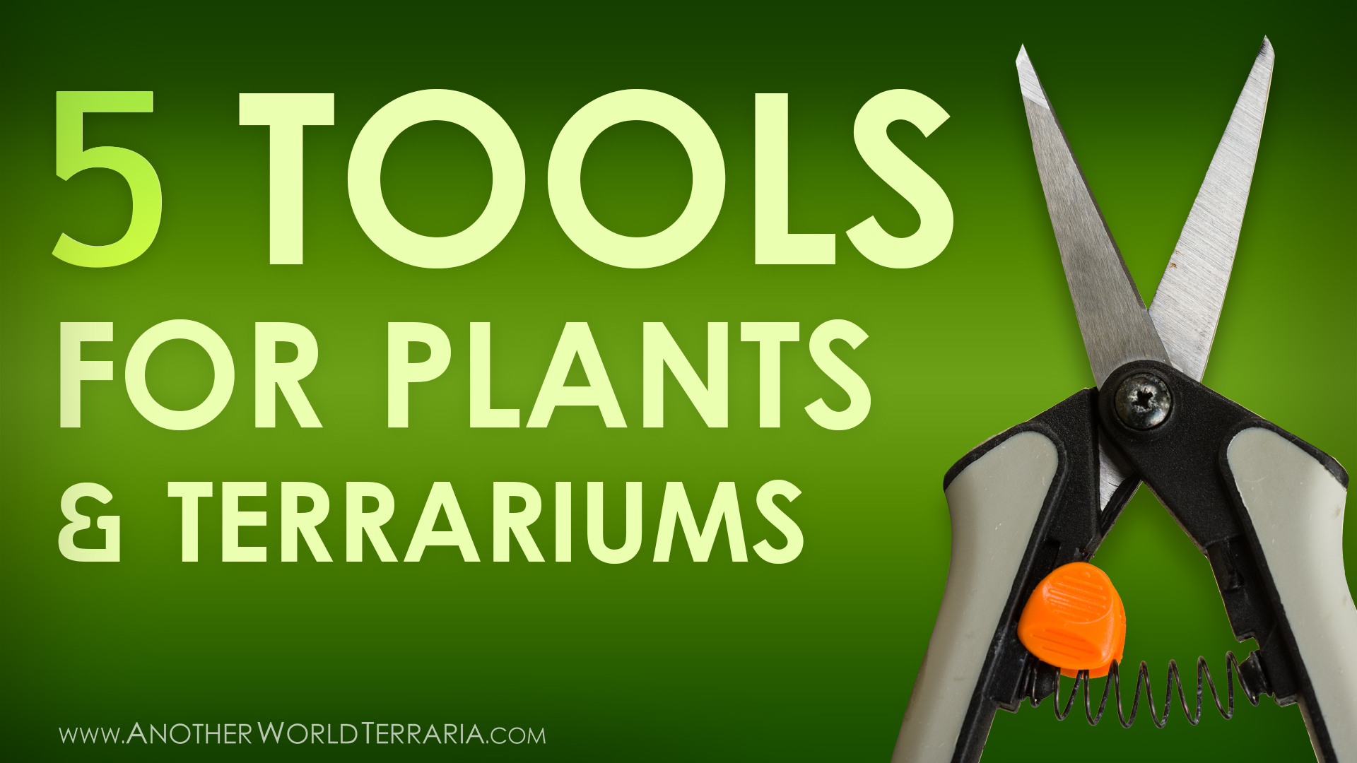 5 Most Used Tools for Horticulture & Terrariums - Photo of Micro Shears