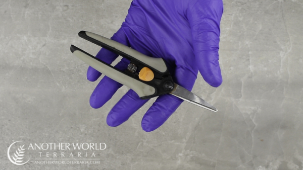 Micro Shears Micro Shears