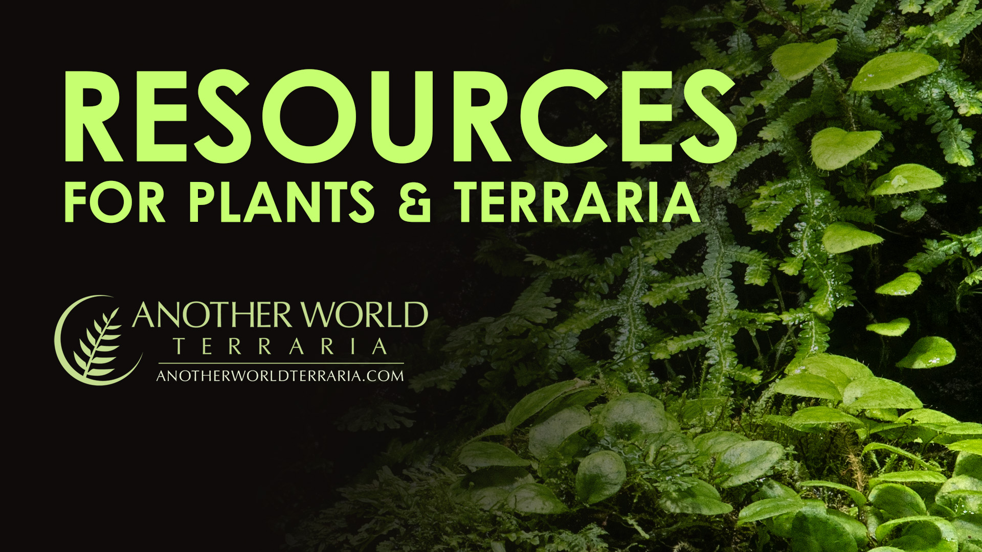 Resources for Plants and Terrariums