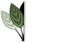 Buceplant.com Logo